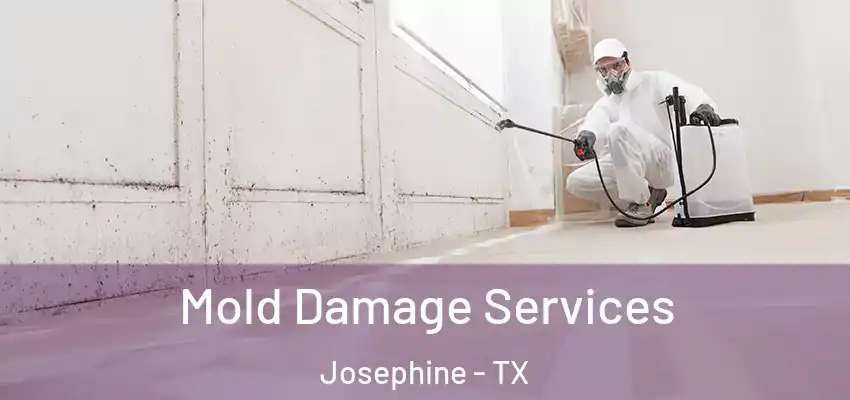 Mold Damage Services Josephine - TX