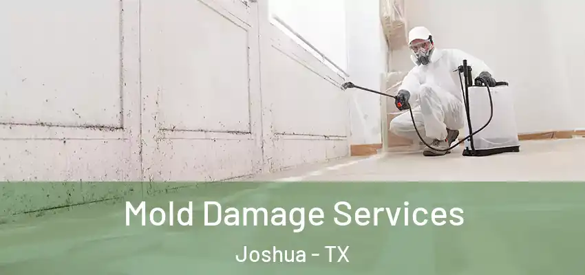 Mold Damage Services Joshua - TX