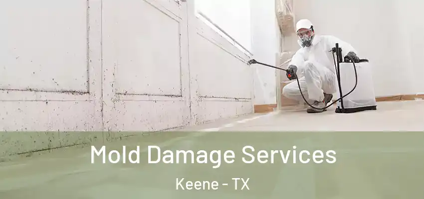 Mold Damage Services Keene - TX