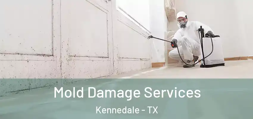 Mold Damage Services Kennedale - TX