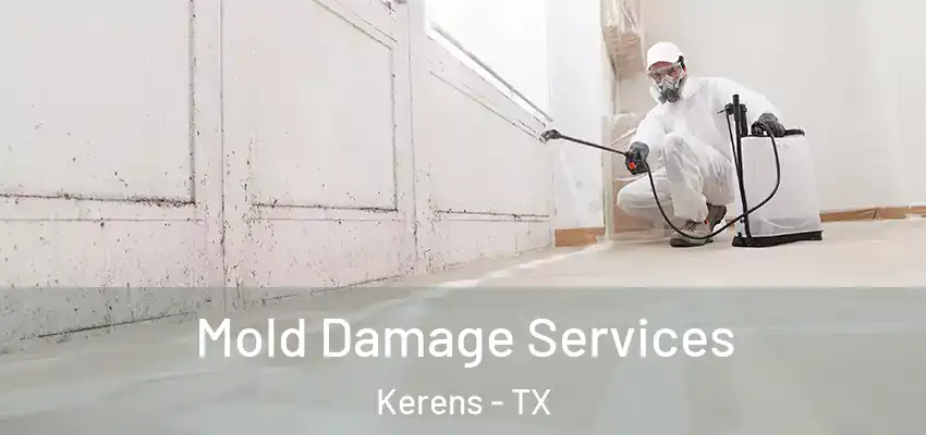 Mold Damage Services Kerens - TX