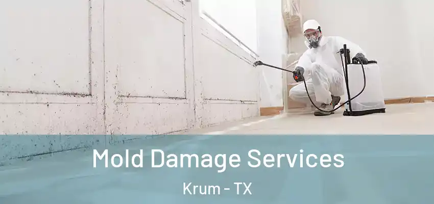  Mold Damage Services Krum - TX