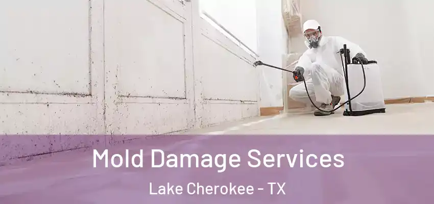  Mold Damage Services Lake Cherokee - TX