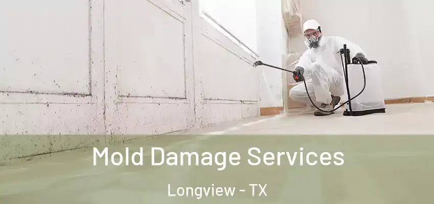  Mold Damage Services Longview - TX