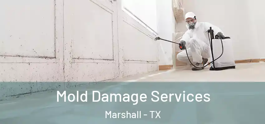  Mold Damage Services Marshall - TX
