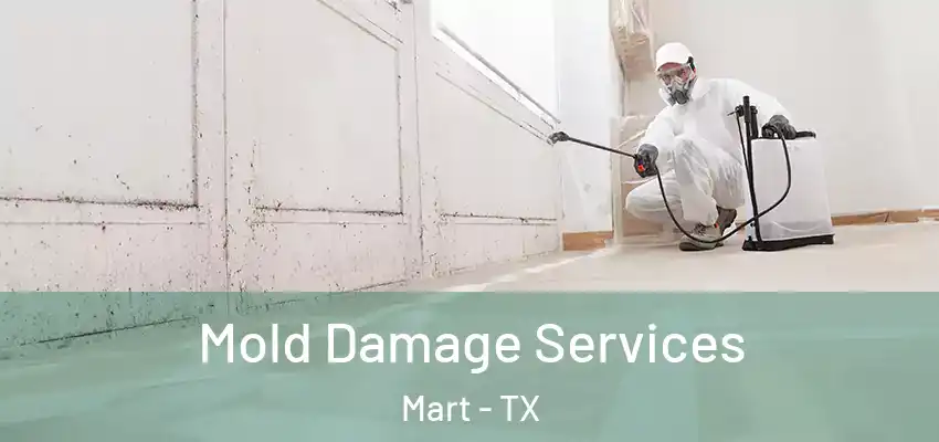  Mold Damage Services Mart - TX