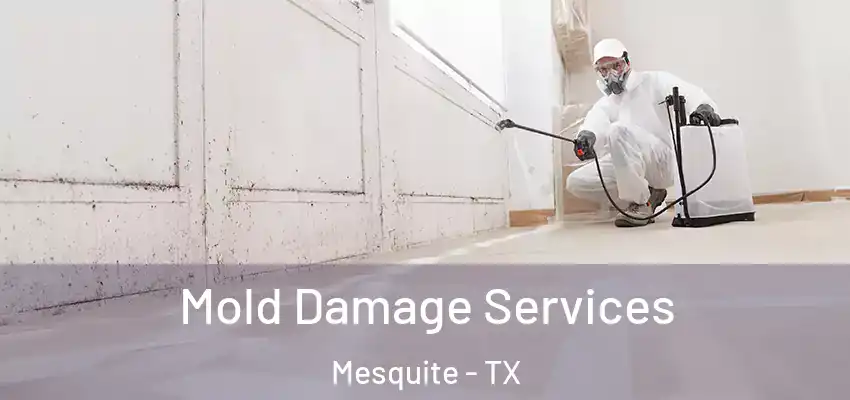 Mold Damage Services Mesquite - TX