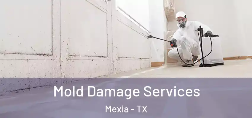  Mold Damage Services Mexia - TX