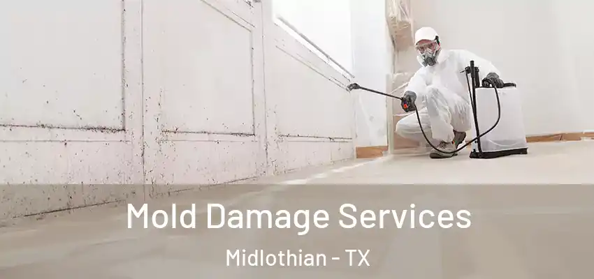  Mold Damage Services Midlothian - TX