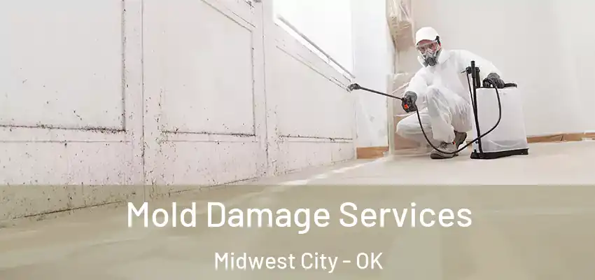  Mold Damage Services Midwest City - OK