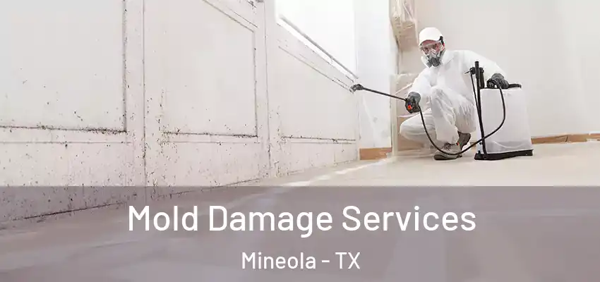  Mold Damage Services Mineola - TX