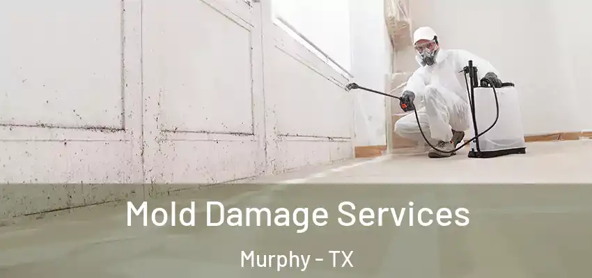  Mold Damage Services Murphy - TX