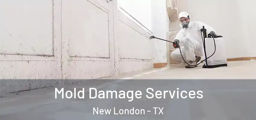  Mold Damage Services New London - TX