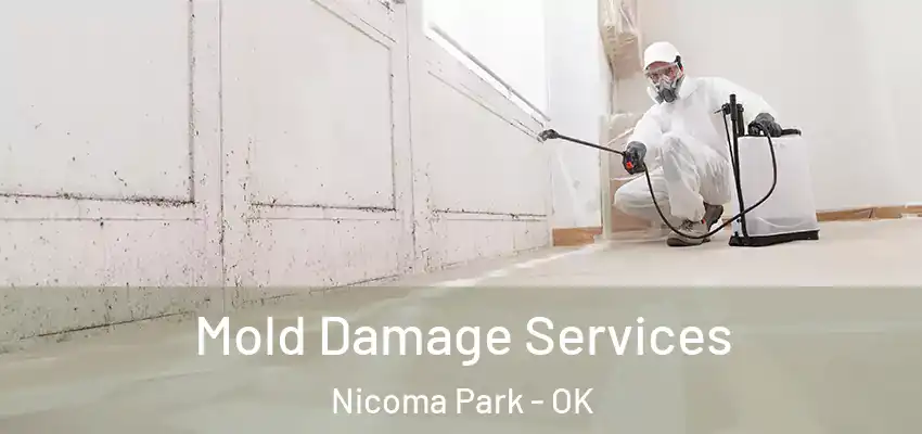 Mold Damage Services Nicoma Park - OK