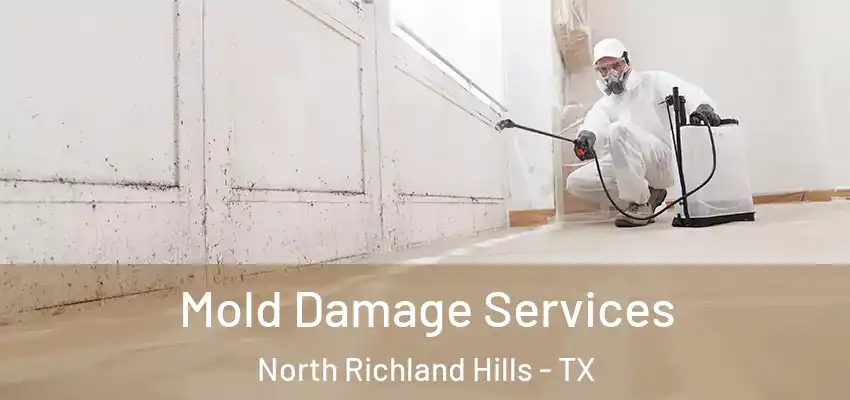 Mold Damage Services North Richland Hills - TX