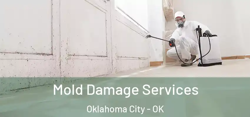  Mold Damage Services Oklahoma City - OK