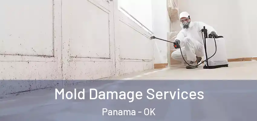 Mold Damage Services Panama - OK