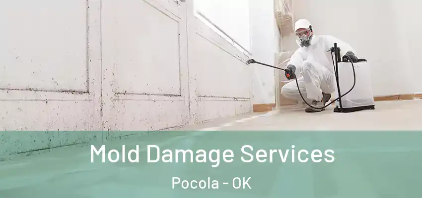  Mold Damage Services Pocola - OK