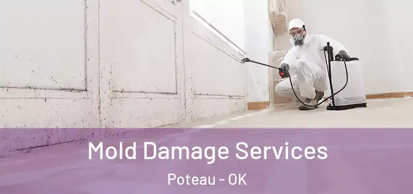  Mold Damage Services Poteau - OK