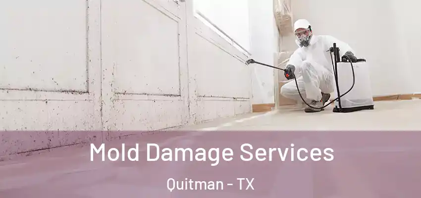  Mold Damage Services Quitman - TX
