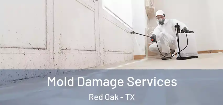  Mold Damage Services Red Oak - TX