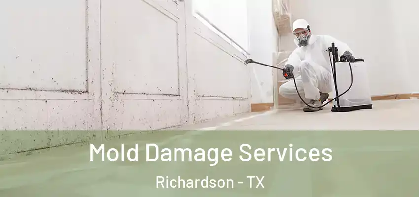  Mold Damage Services Richardson - TX