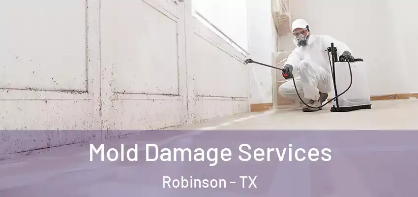  Mold Damage Services Robinson - TX