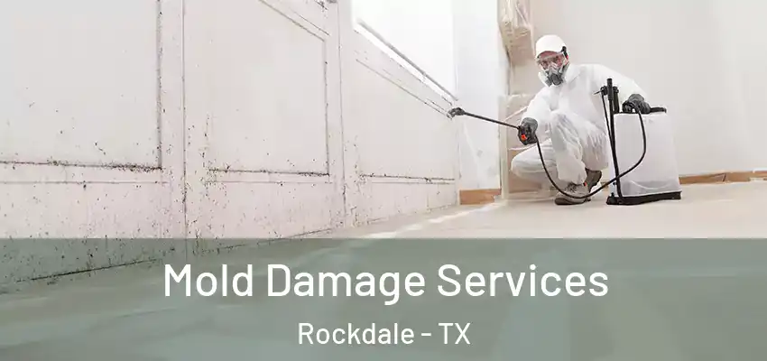 Mold Damage Services Rockdale - TX