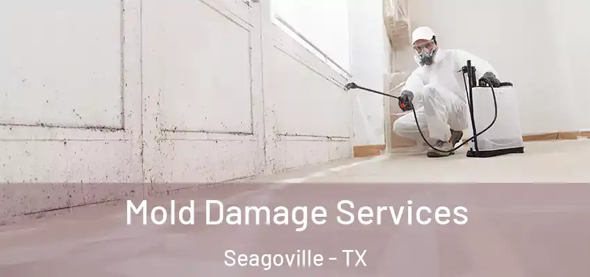  Mold Damage Services Seagoville - TX