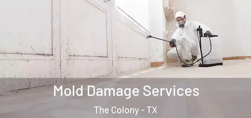  Mold Damage Services The Colony - TX