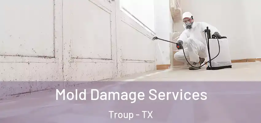 Mold Damage Services Troup - TX