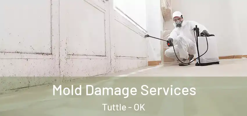  Mold Damage Services Tuttle - OK