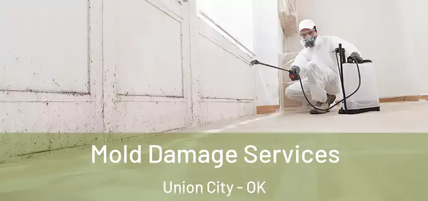  Mold Damage Services Union City - OK