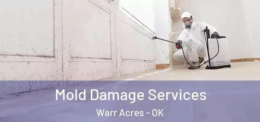 Mold Damage Services Warr Acres - OK