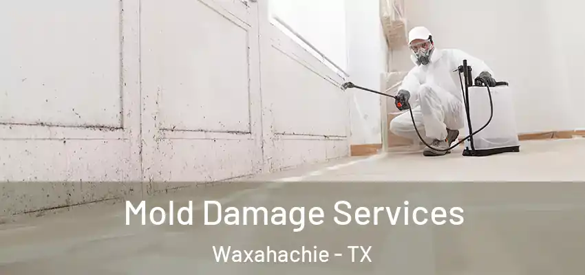  Mold Damage Services Waxahachie - TX