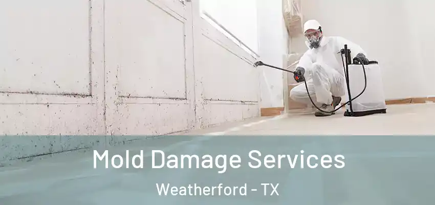  Mold Damage Services Weatherford - TX