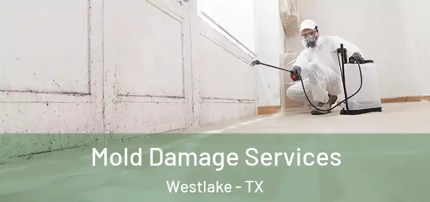  Mold Damage Services Westlake - TX