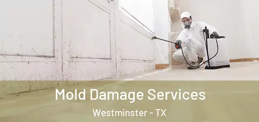Mold Damage Services Westminster - TX