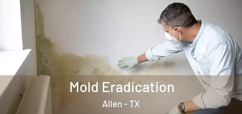 Mold Eradication Allen - TX