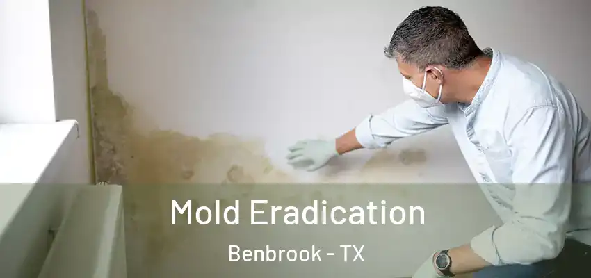  Mold Eradication Benbrook - TX