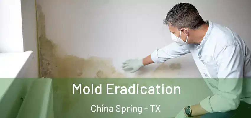  Mold Eradication China Spring - TX