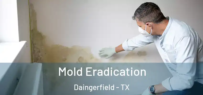 Mold Eradication Daingerfield - TX