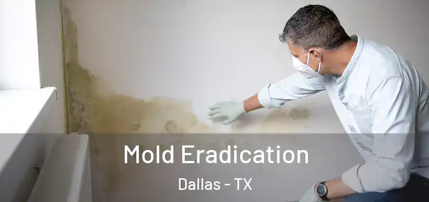 Mold Eradication Dallas - TX