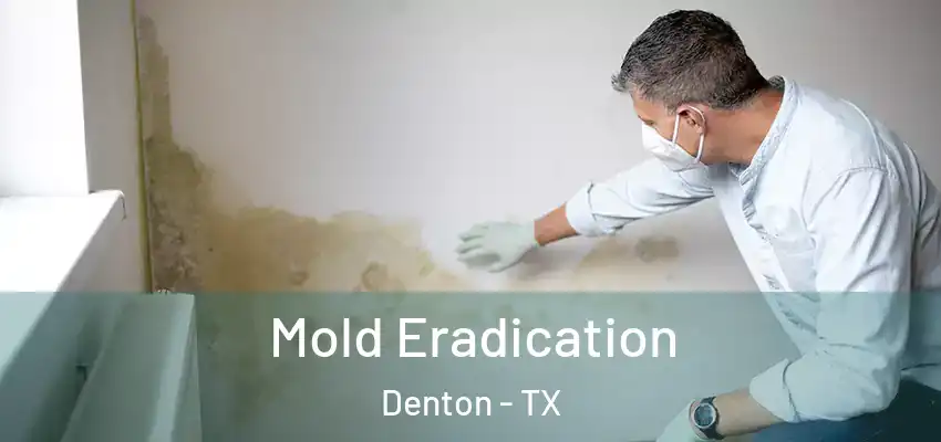  Mold Eradication Denton - TX