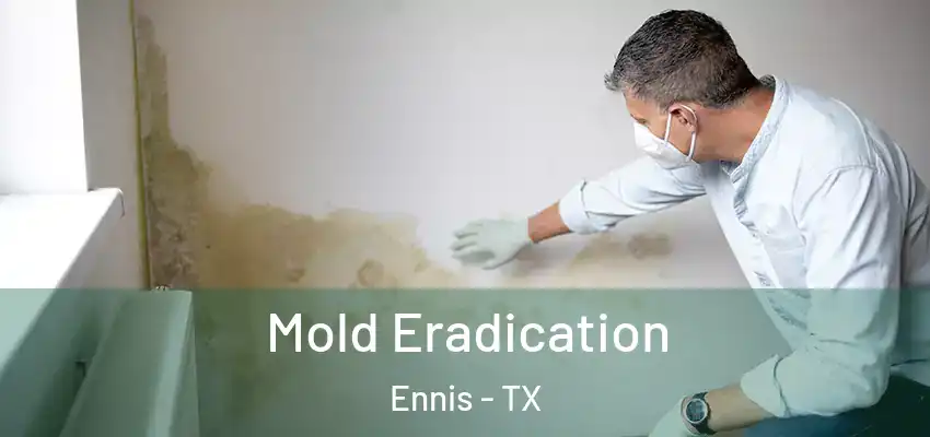  Mold Eradication Ennis - TX