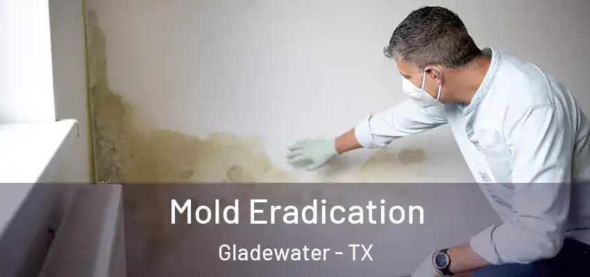 Mold Eradication Gladewater - TX