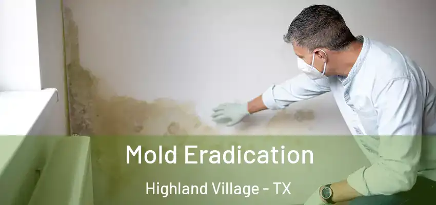 Mold Eradication Highland Village - TX