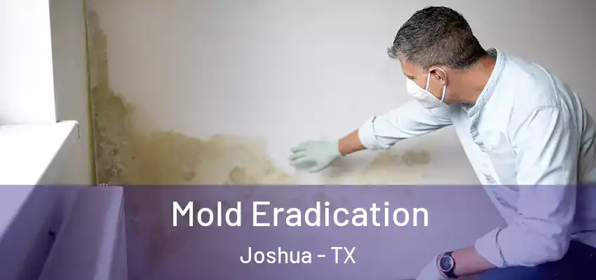 Mold Eradication Joshua - TX