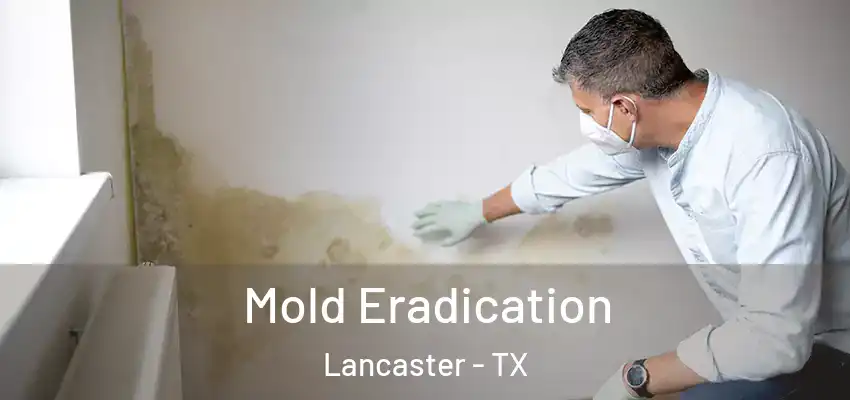  Mold Eradication Lancaster - TX
