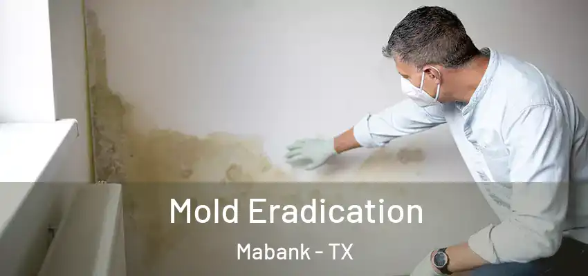  Mold Eradication Mabank - TX